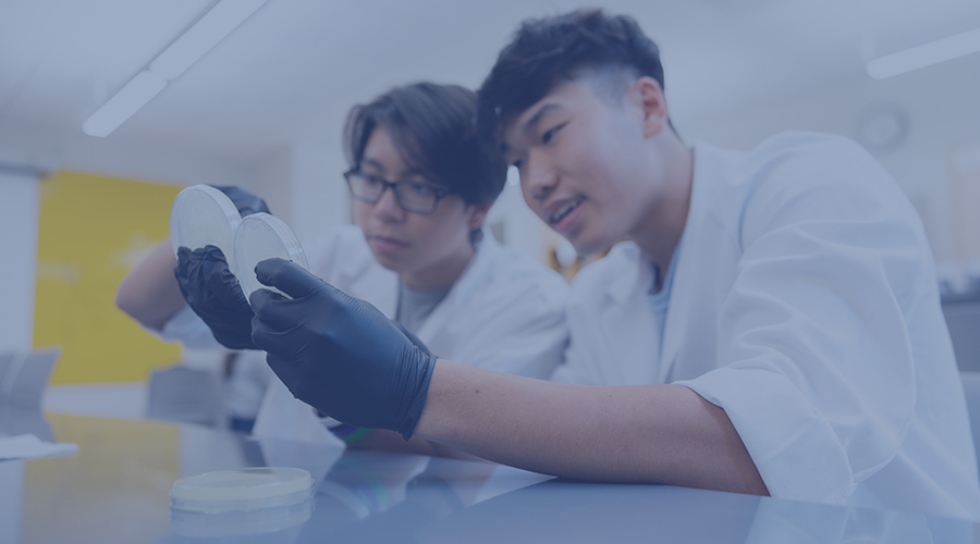 3-Week Summer Academies