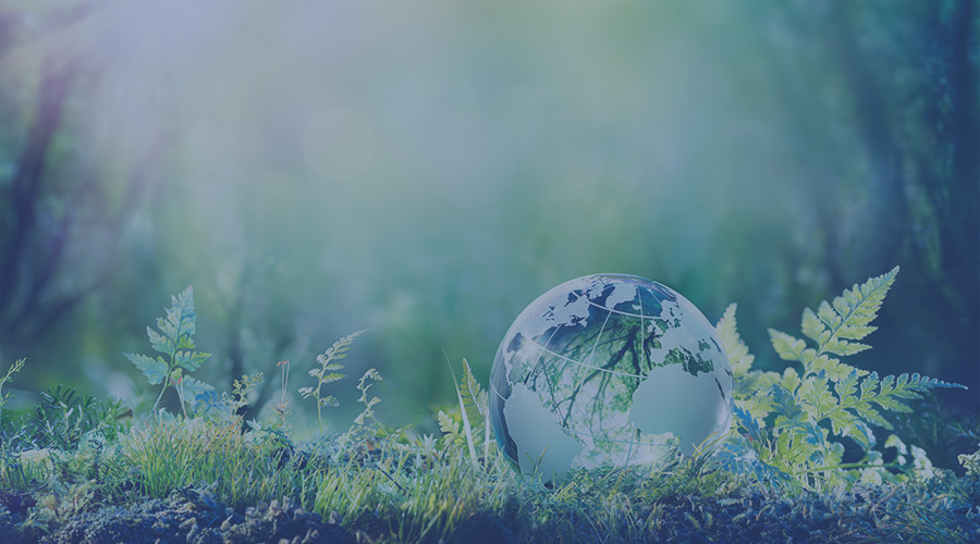 Environmental Policy Academy